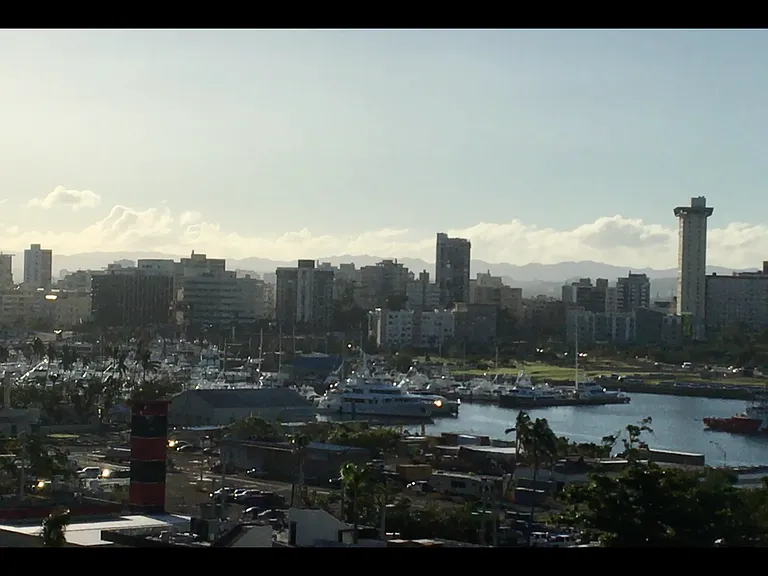 450 Avenue De La Constitucion — Photo 5