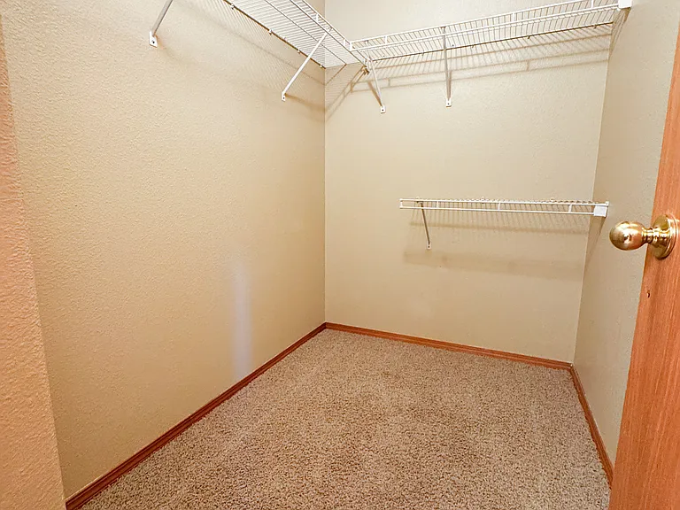 Primary Closet
