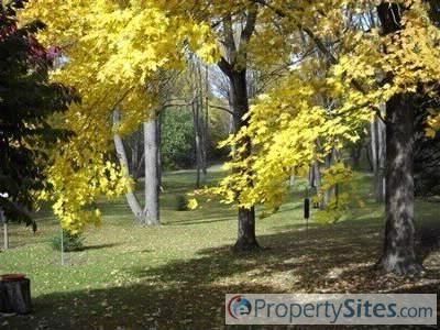 11138 E D Ave, Richland, MI, 49083