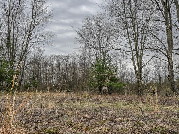 W Clay Rd, Rothbury, MI 49452
