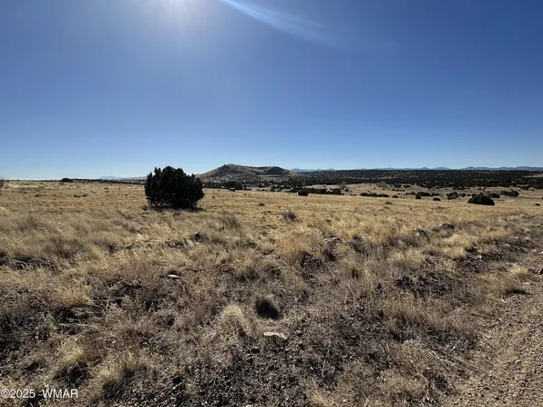 30 County Road 5084, Concho, AZ 85924