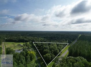 0 Hodges Rd, Hinesville, GA 31313