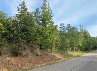 0 Gann Rd TRACT 2, Selmer, TN 38375