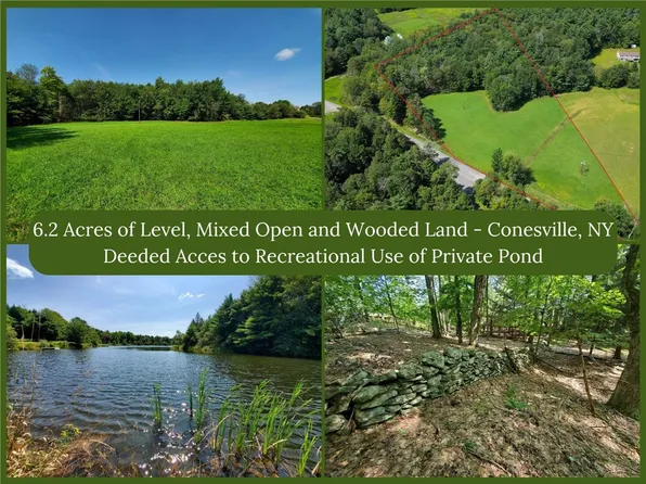LOT 10 Bull Hill Rd Lot 10, Gilboa, NY 12076