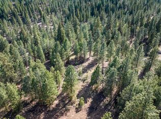 11 Star Creek Ct, Idaho City, ID 83631