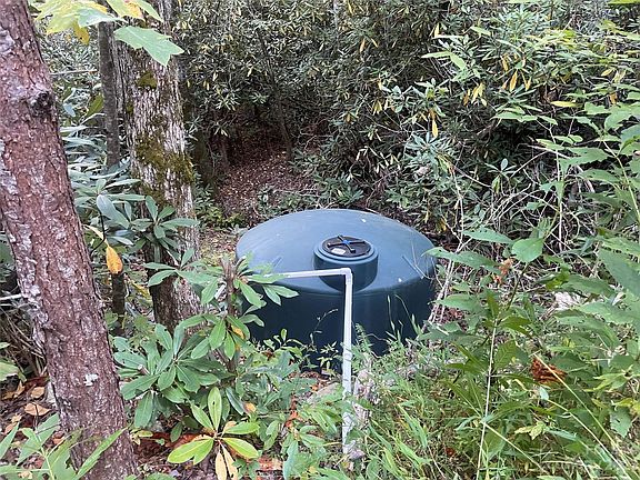 4th image of 1121 Linville Dr