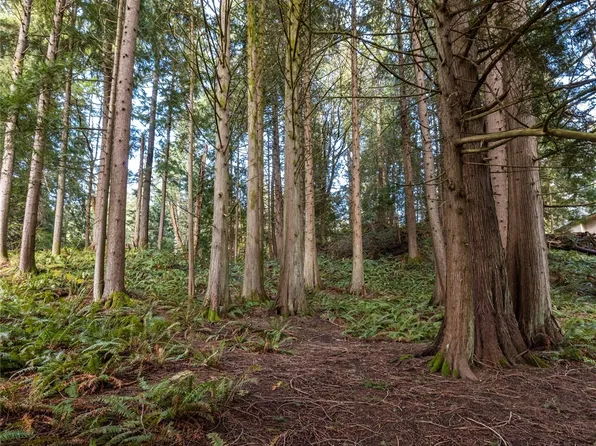 10 a&b Shooting Star Court, Bellingham, WA 98229