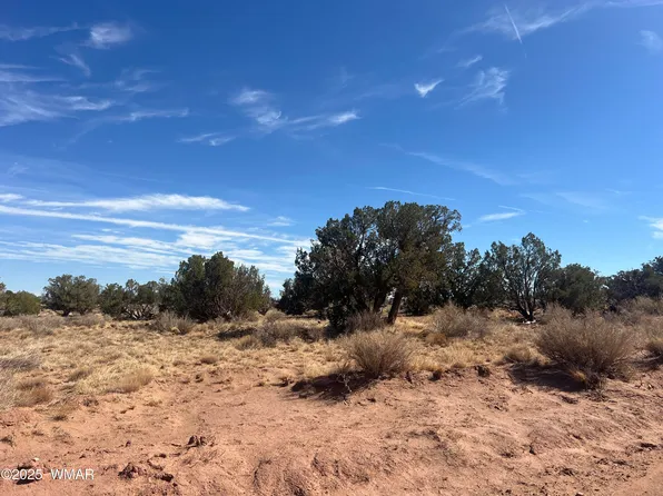 8362 Cupples Trl, Snowflake, AZ 85937