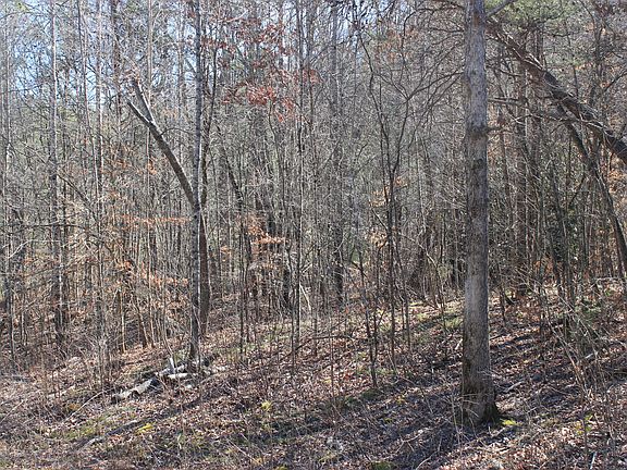 3rd image of Speedwell Ln