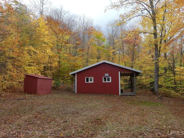 14460 N Sunken Lake Rd, Seney, MI 49883