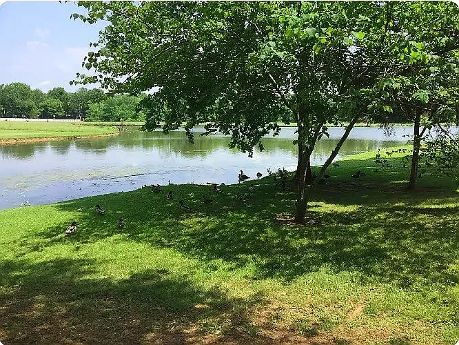 550 Flintlock Ct — Photo 13
