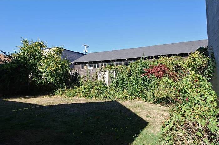 Big Back Yard