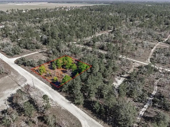 0 NE 150th Ave Lot 25, Williston, FL 32696