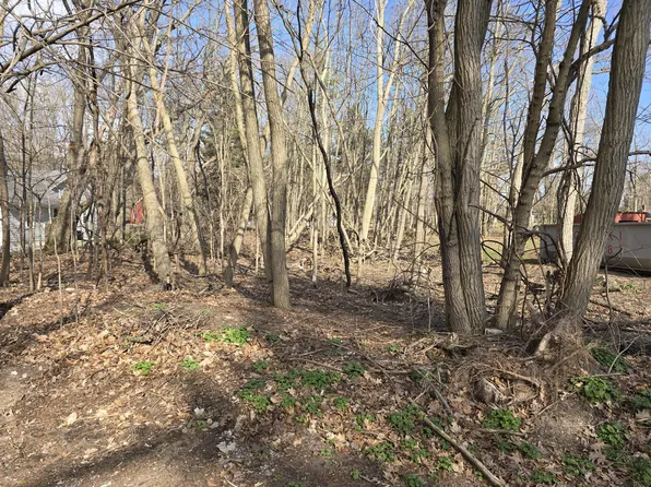 Carleton St, Whitehall, MI 49461