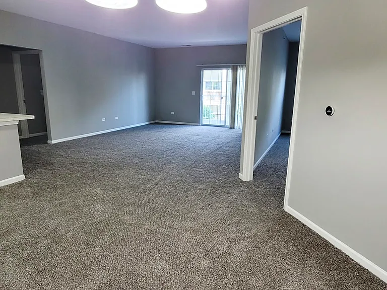 1259 W Lake St #206 — Photo 5