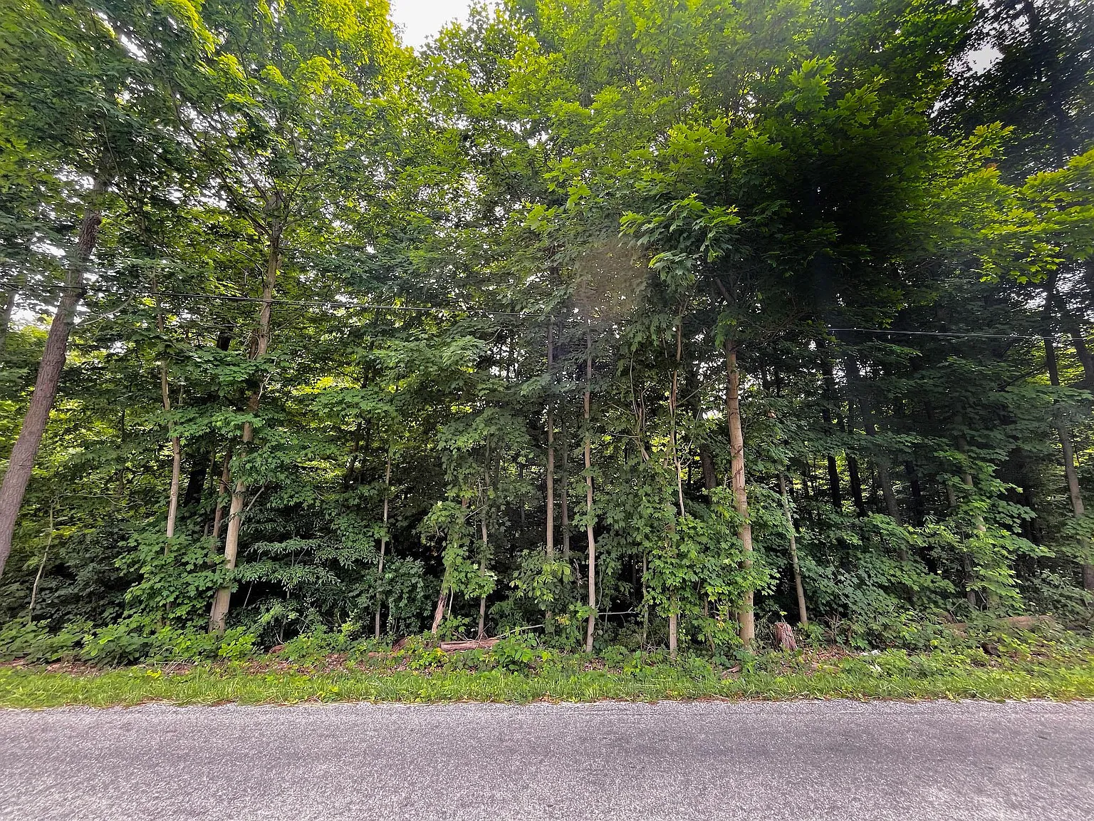 0 Sycamore Rd photo 1