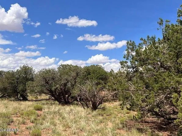 4062 APACHE Road #593 and 594, Snowflake, AZ 85937