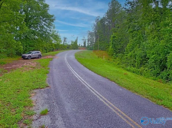 County Road 338, Elba, AL 36323