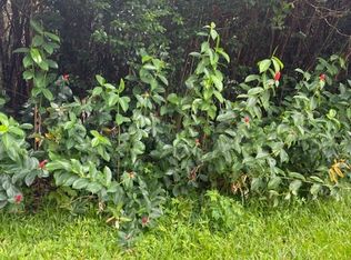 Hilo St LOT 533, Pahoa, HI 96778
