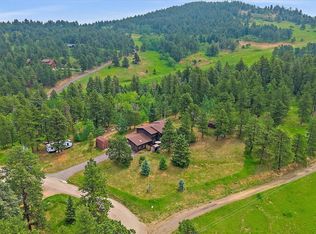 9745 Hilldale Dr, Morrison, CO 80465
