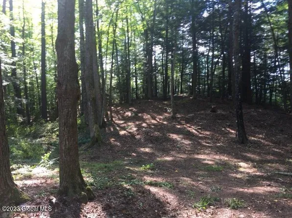 236 Blue Bay Road, Chestertown, NY 12817