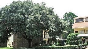2nd image of 11440 Bard Ave