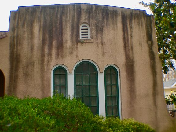 5th image of 124 WILDROSE AVE