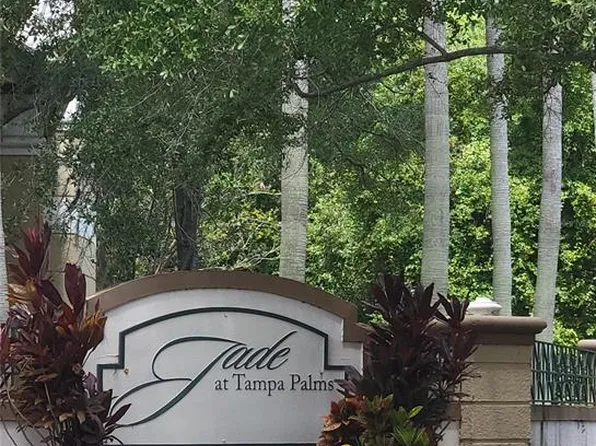 17108 Carrington Park Dr APT 707, Tampa, FL 33647