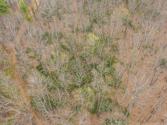 5th image of Cox Store Rd SW