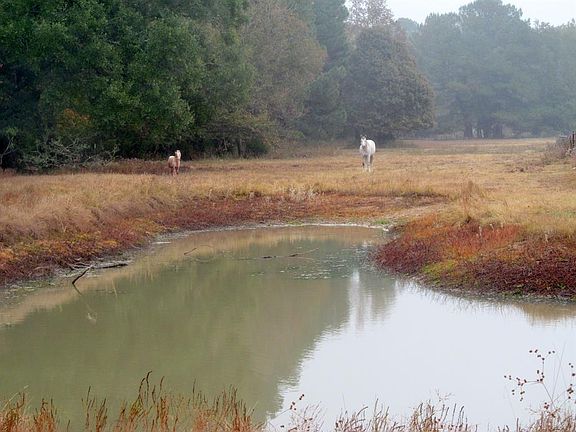 4th image of 2692 N Fm 312