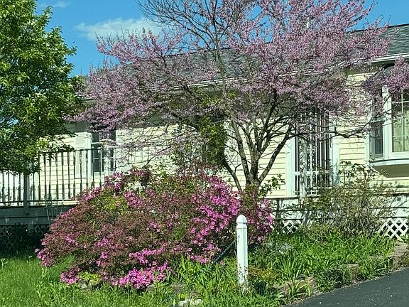 3rd image of 31 Amelia Drive