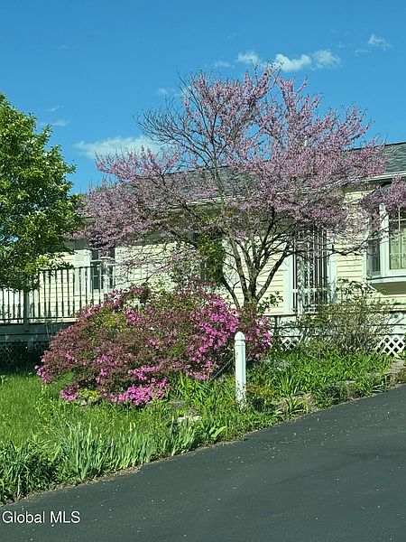 3rd image of 31 Amelia Drive
