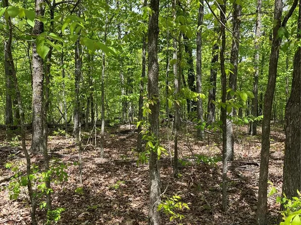 0 Stag Point Rd, Wappapello, MO 63966