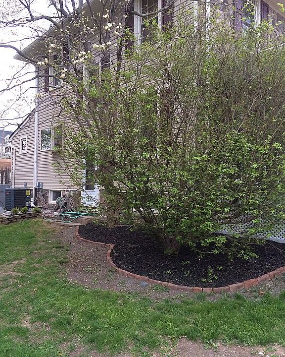 2nd image of 85 Wilson Ave