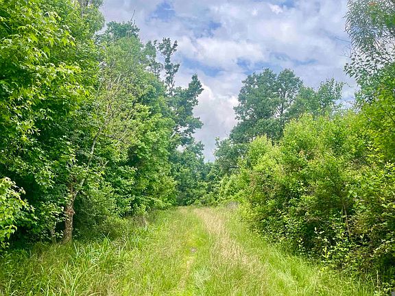 2nd image of 5 Tom Drehr Rd