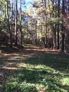 438 High Way, Franklinton, LA, 70438