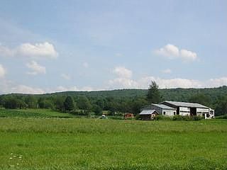 2nd image of 8002 County Road 15