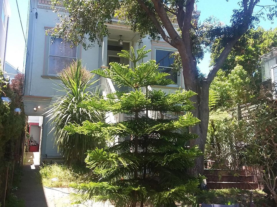 Edwardian house, 2 Units, Walkway to 1 Bedroom Unit