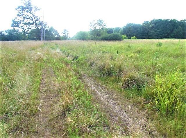 2nd image of 0 Blue Stem Rd