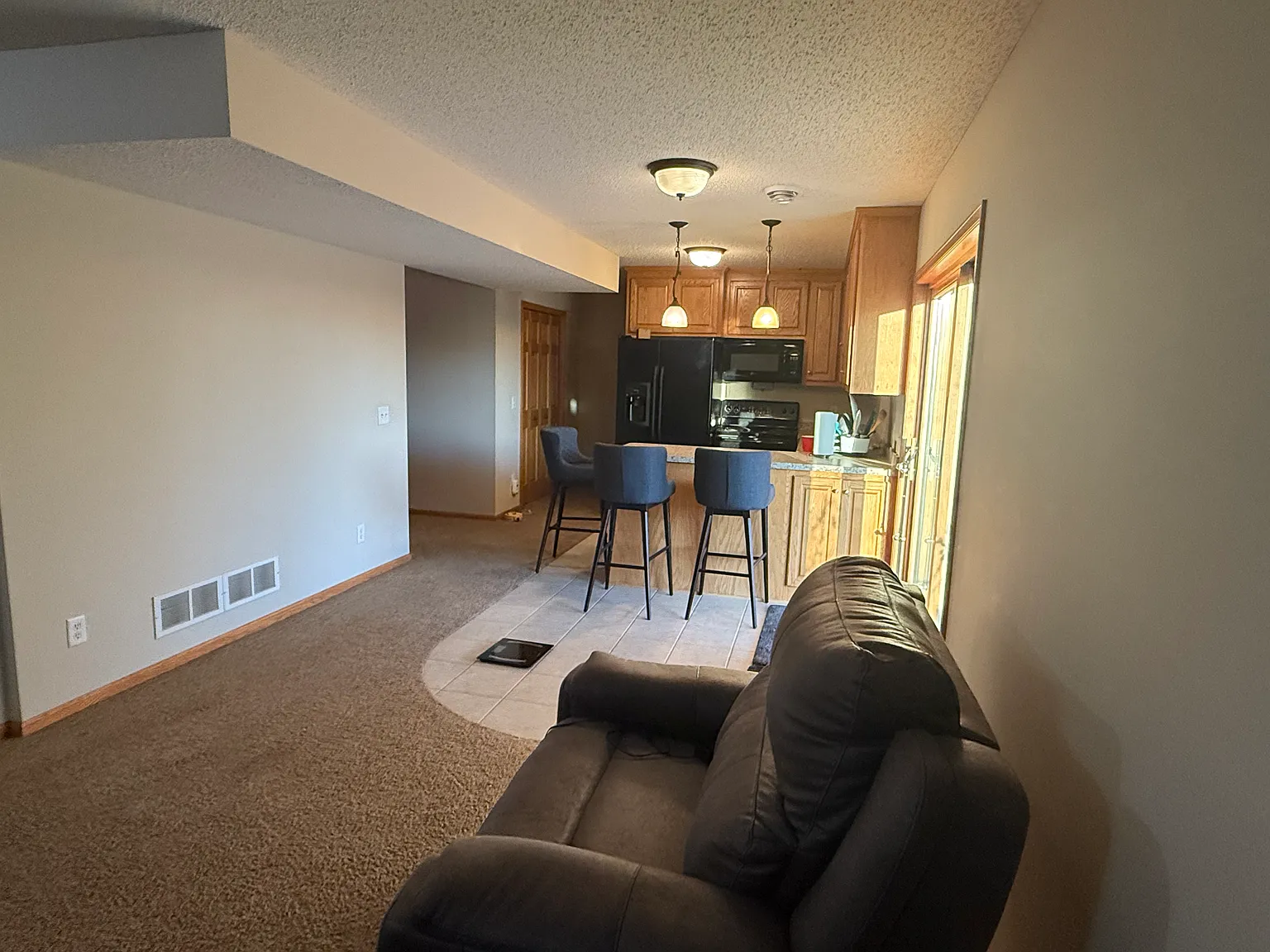 Roommate Wanted for 1 Bed/1 Bath Apartment in Chaska — Photo 3
