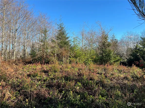 0 XX Bayview Lane, Hoquiam, WA 98550