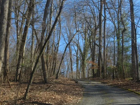 451 Bay Hill Dr, Piney Flats, TN 37686