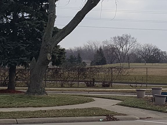 2nd image of 30437 Townley Ave