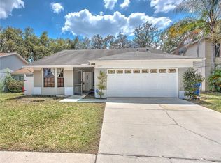 2609 Shilo Ct, Valrico, FL 33596