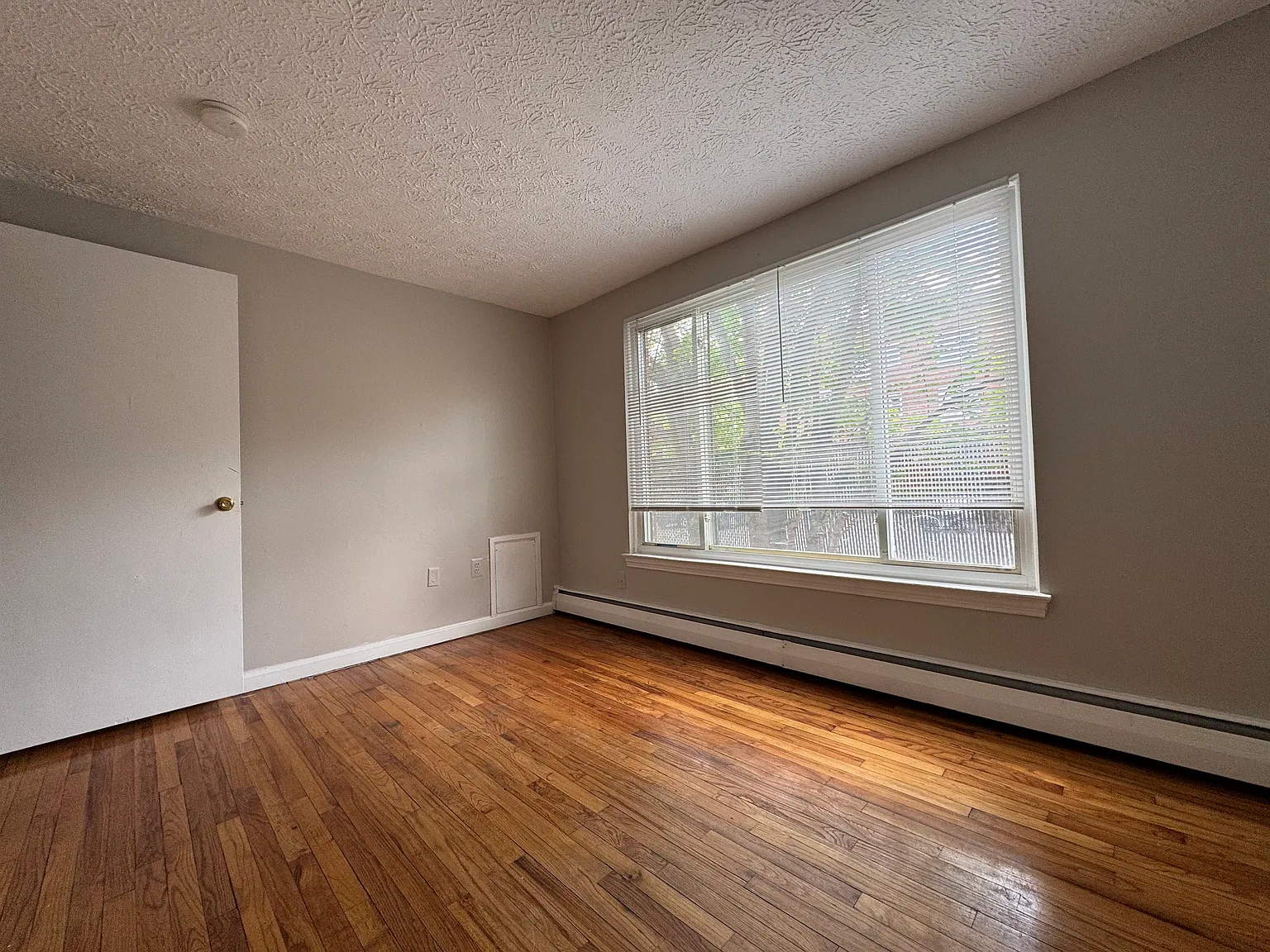 2 bed, 1000 sqft, $1,245 — Photo 3