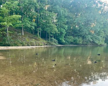 29 Lakewood Dr, Saulsbury, TN, 38067