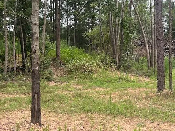 505 Chesley Ln #5, Lillington, NC 27546