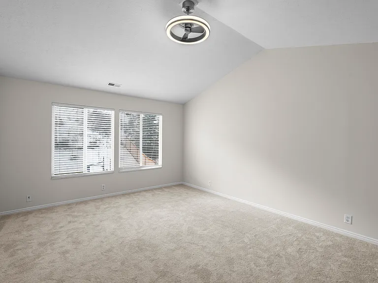 E Candle Spruce Cv — Photo 11