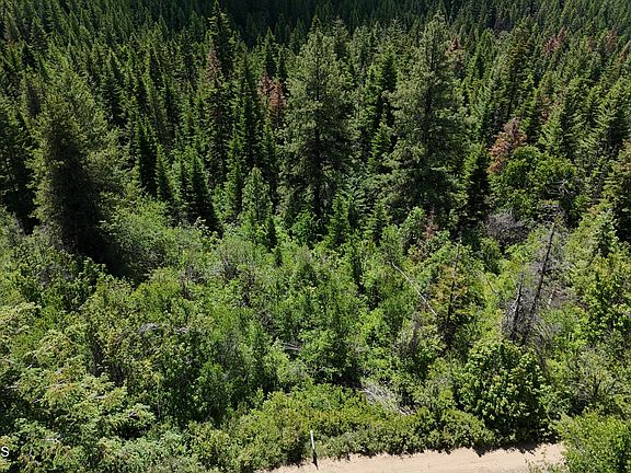 3rd image of 2407 Crystal Peak Rd