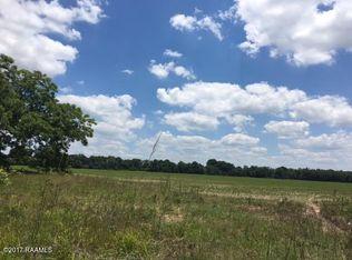 Whiteville Road 40 5 Acs, Ville Platte, LA 70586